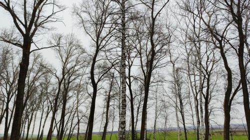 7 декабрьгә һава торышы