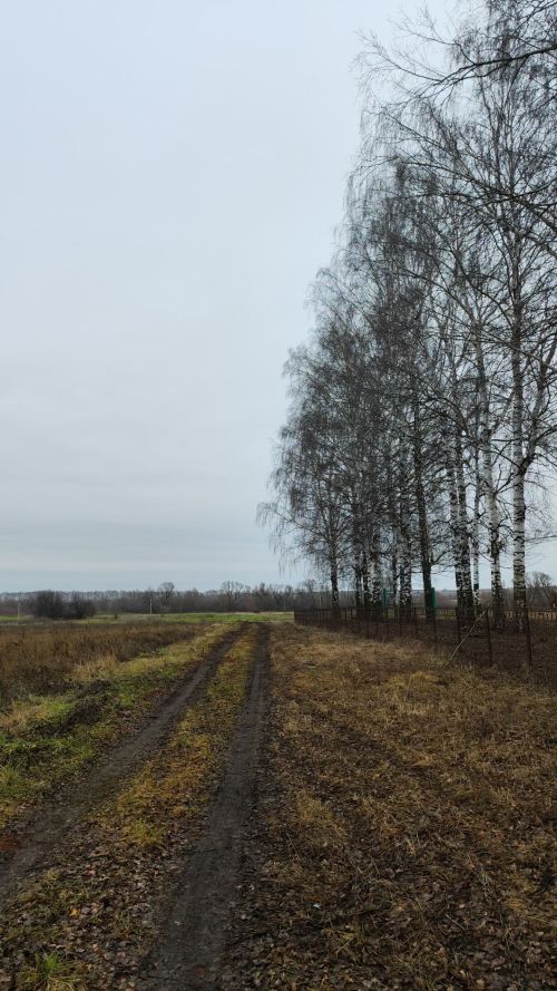 8 декабрьгә һава торышы