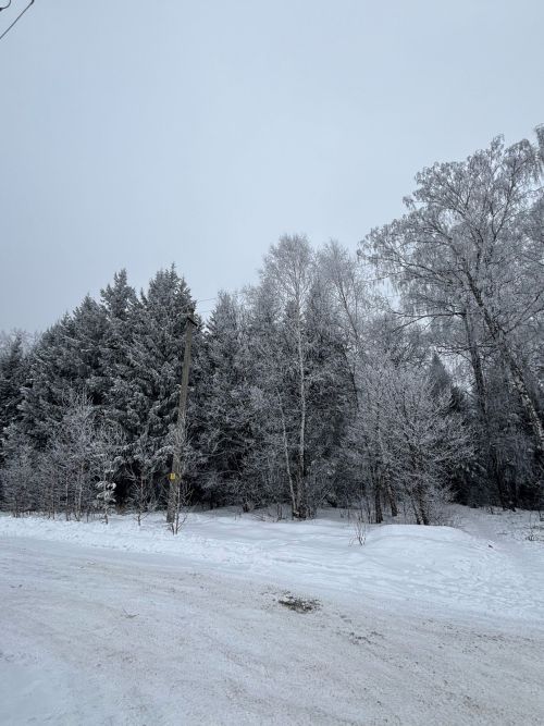 Яшел Үзәндә 14 февральгә һава торышы