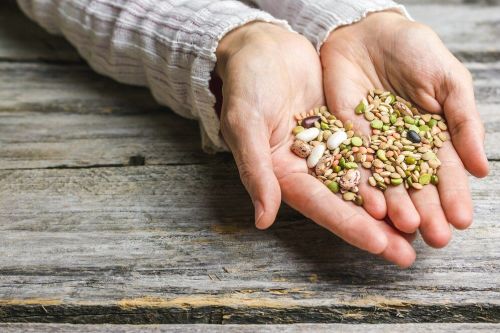 Бөртекле-кузаклылар төркеменә ниләр керә һәм алар нәрсәсе белән файдалы?