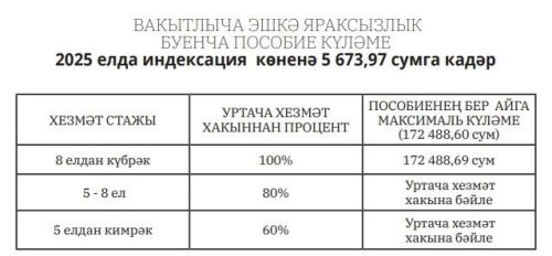 2025 елда индексация һәм законнардагы үзгәреш­ләр нәтиҗәсендә пособиеләр күләме арттырылды