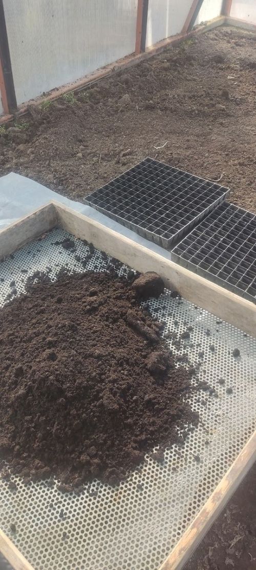 Үсентеләрне вакытында күчереп утырту өчен аның туфрагын ничек әзерләргә, нинди ашламалар кулланырга?
