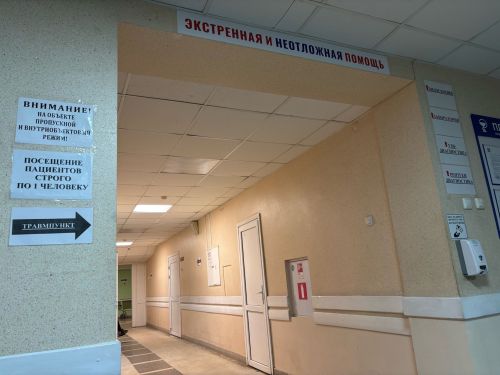 Яшел Үзәннең Ленин урамында 86 яшьлек ирне бәрдергәннәр