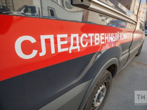 Ореховкада укучы кыз әнисен үтергән