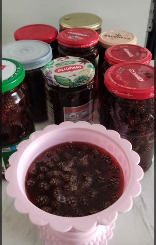Яшел Үзән районы Олы Яке авылында бик файдалы нарат күркәсе җыя башлаганнар