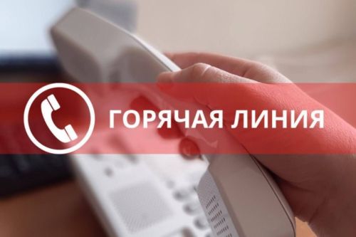 Хатын-кызлар – «Мәрхәмәт – Милосердие» ТР Дәүләт Советы депутатлары Сәрия Сабурская белән берлектә кайнар линия үткәрә