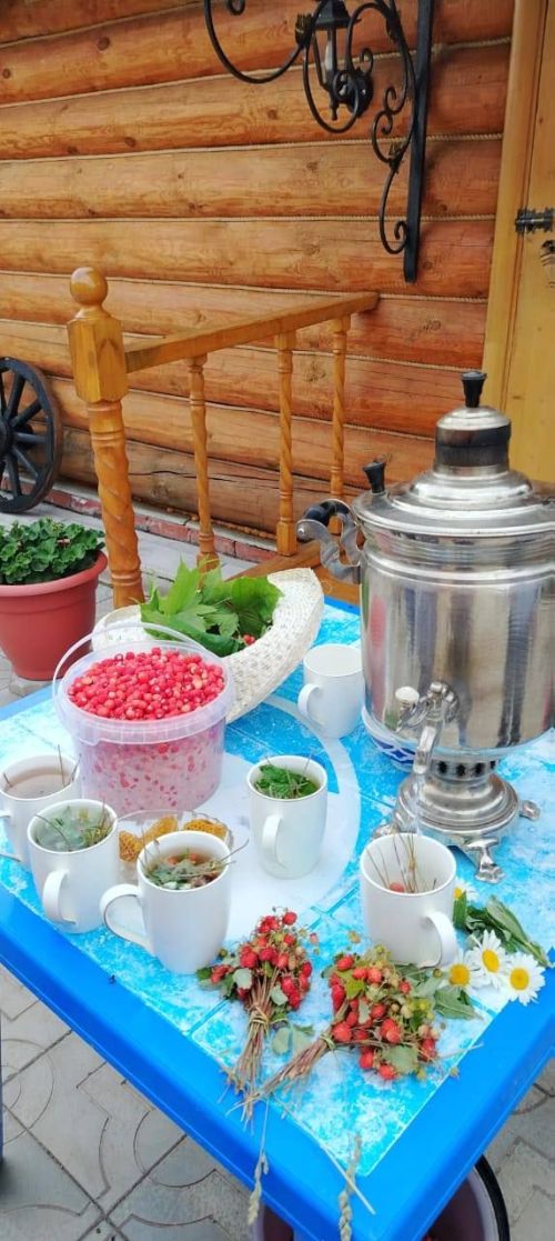 Дуслар, каен җиләге өлгергән ди, җыйдыгызмы әле?