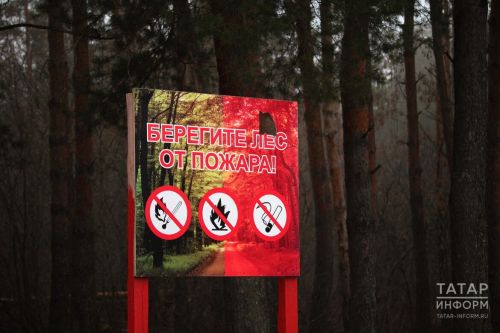 Татарстанда өч атнага урманнарга баруны чикләделәр