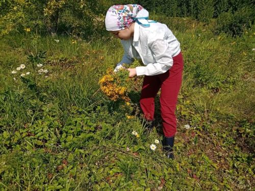 Каюм Насыйри исемендәге архитектура-этнография комплексы кызлары үләннәр иленә сәяхәт ясаган