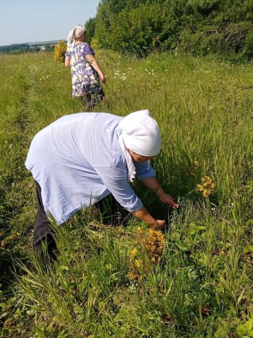Каюм Насыйри исемендәге архитектура-этнография комплексы кызлары үләннәр иленә сәяхәт ясаган
