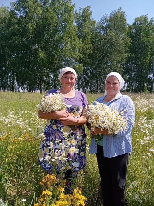 Каюм Насыйри исемендәге архитектура-этнография комплексы кызлары үләннәр иленә сәяхәт ясаган