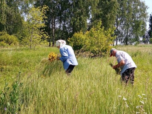 Каюм Насыйри исемендәге архитектура-этнография комплексы кызлары үләннәр иленә сәяхәт ясаган