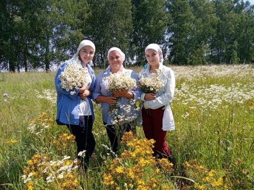 Каюм Насыйри исемендәге архитектура-этнография комплексы кызлары үләннәр иленә сәяхәт ясаган