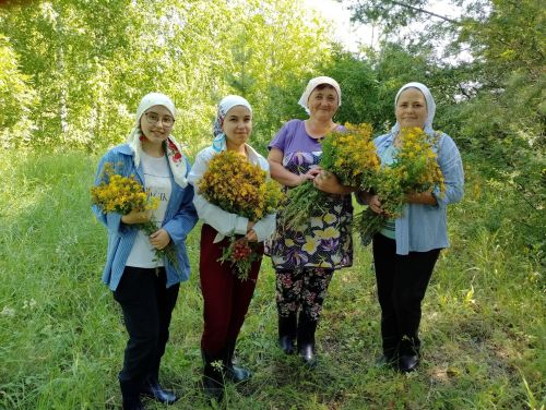 Каюм Насыйри исемендәге архитектура-этнография комплексы кызлары үләннәр иленә сәяхәт ясаган