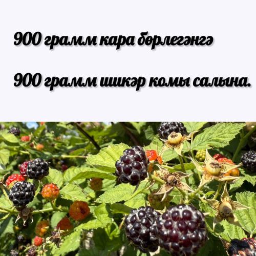 ️Кара бөрлегәннән бик тәмле кайнатма әзерлибез