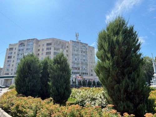 Татарстанда яңа атна +26 градуслы эсселек белән башланып китәчәк