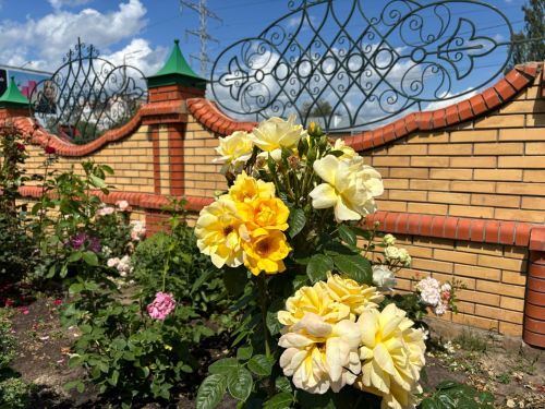 4нче июльгә һава торышы