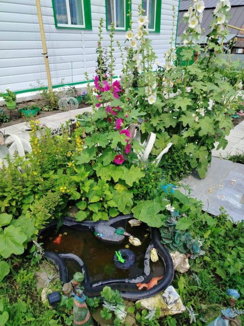 «Өй алдыбыз гөлбакча» бәйгесенең чираттагы катнашучысы - Норлат авылыннан Лилия Сибгатуллина