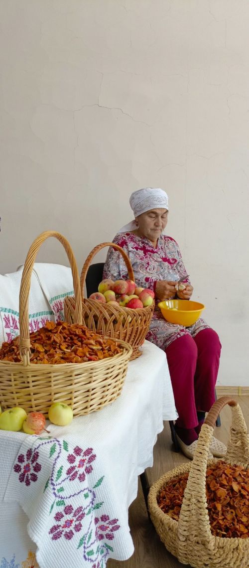 Бакырчы авылында «Алма бәйрәме» үткәргәннәр