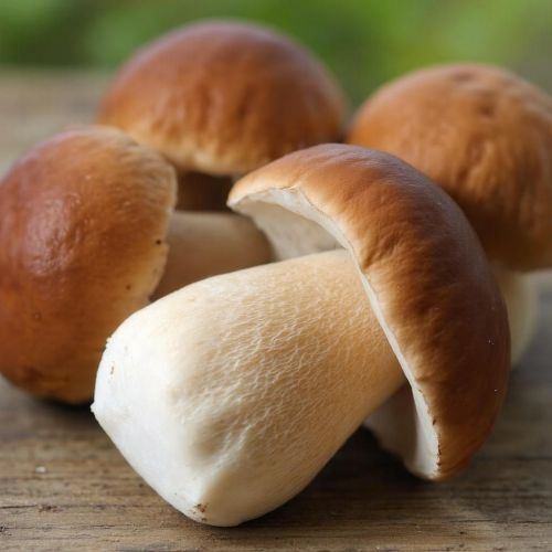 Ак гөмбә көне. Гөмбәләр: куркынычсызлык кагыйдәләре