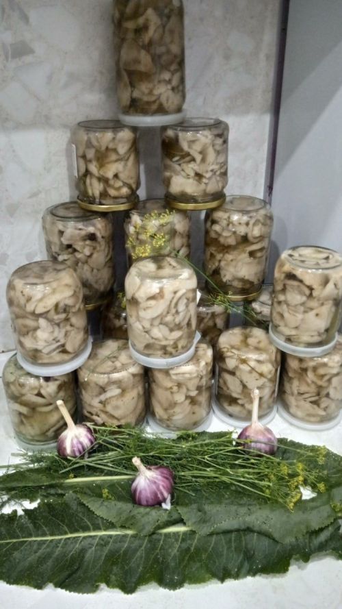 Гөмбәле ассорти