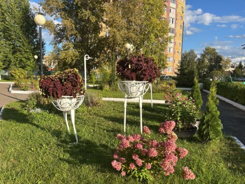 Көзнең беренче көненә һава торышы