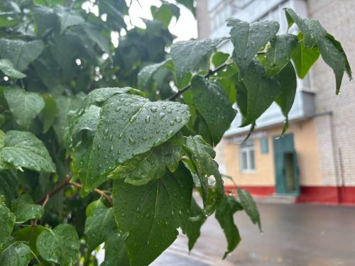 6нчы августка һава торышы