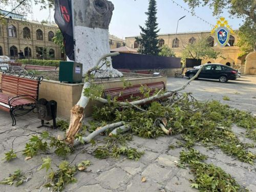 Мәчет янында кешеләр өстенә агач ауган: һәлак булучылар бар