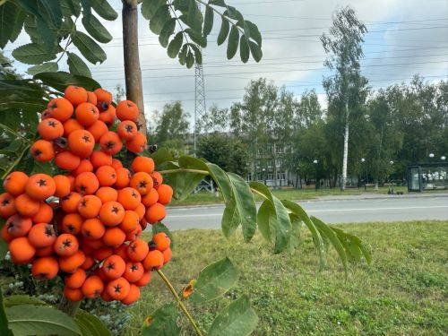 9нчы августка һава торышы
