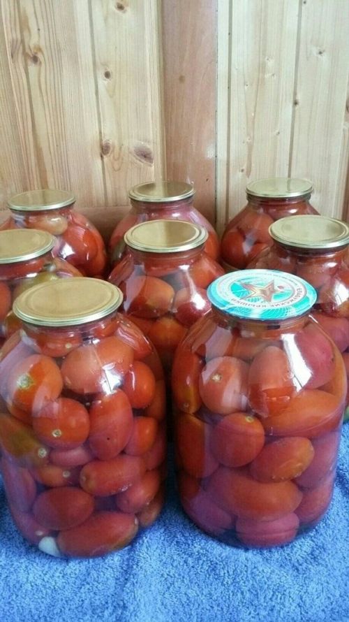 Помидорлар маринадлыйбыз