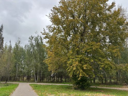 12 сентябрьгә һава торышы