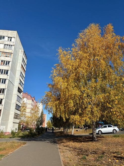 23 сентябрьгә һава торышы