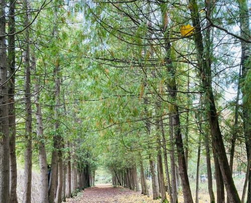 24 сентябрьгә һава торышы