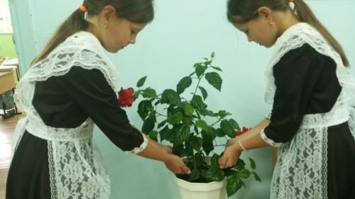 Акъегет авылында Терроризмга каршы көрәштә бердәмлек көнен билгеләделәр