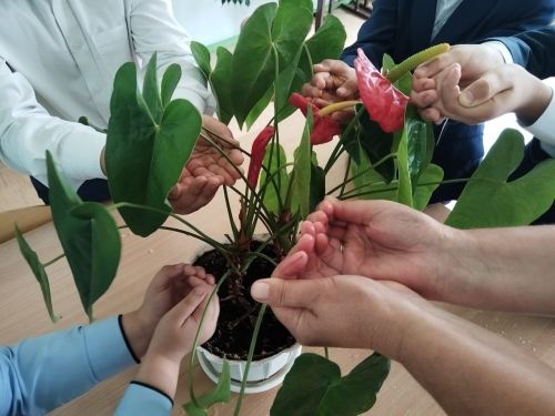 Мулла Илендә Бесландагы фаҗигале вакыйгаларга багышланган чара узды