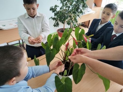 Мулла Илендә Бесландагы фаҗигале вакыйгаларга багышланган чара узды