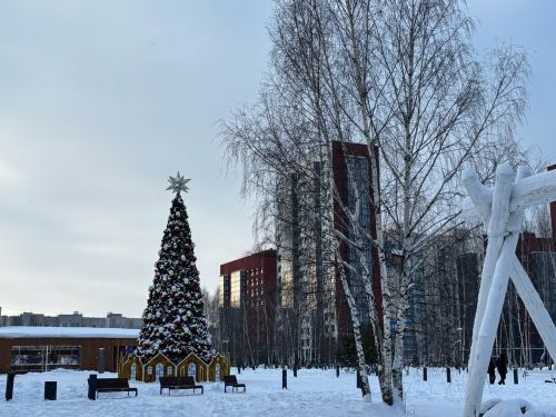 12 гыйнварга һава торышы