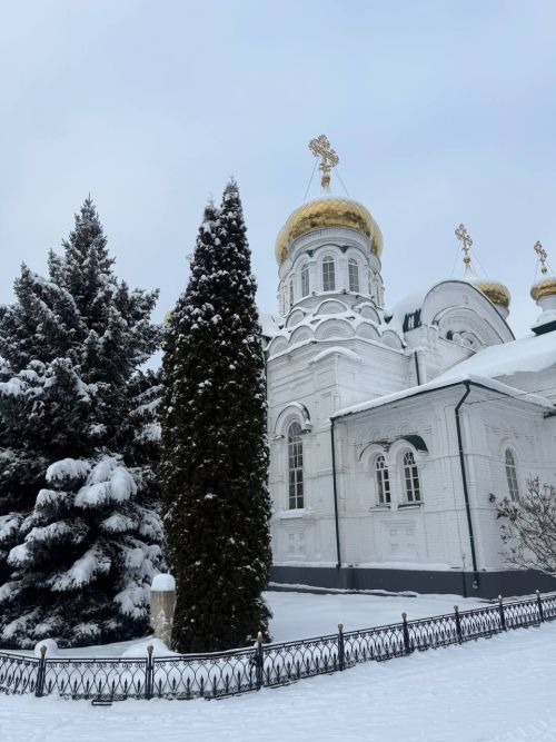 Раифа кунаклар кабул итте
