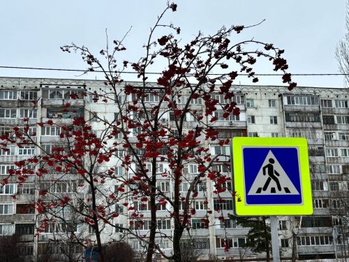 Татарстанда «Яшәү өчен инфраструктура» проекты кысаларында 2877 юл билгесе урнаштырылды