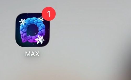Татарстан халкы больничныйларны MAX мессенджерында яба алачак