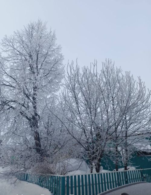 1 февральгә һава торышы