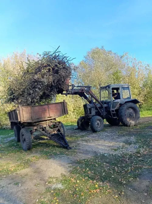 Олы Шырдан мәдәният йорты тирәсендә өмәләр дәвам итә