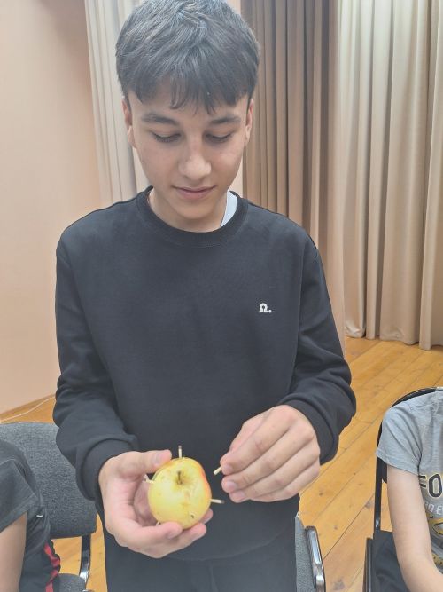 Мулла Иле мәдәният йортында яшүсмерләр өчен «Көзге бал» бәйрәме үткәрелде