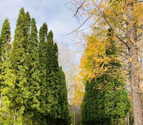 24 октябрьгә һава торышы