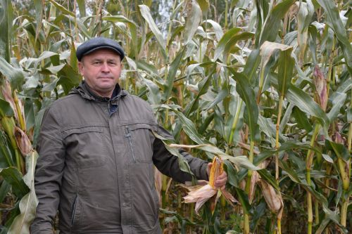 Яшел Үзән кырларында эш кайный