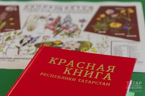 Табигатьне саклауда тарихи адым: Татарстанда Кызыл китап беренче тапкыр ике телдә бастырылды