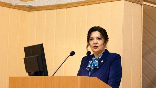 ТР Әлмәт районы башлыгы: БПЛА җитештерү объектларына һөҗүм итәргә тырыша