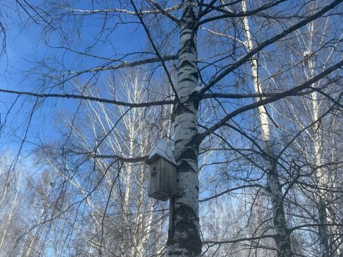 25 февральгә һава торышы