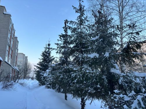 7 февральгә һава торышы