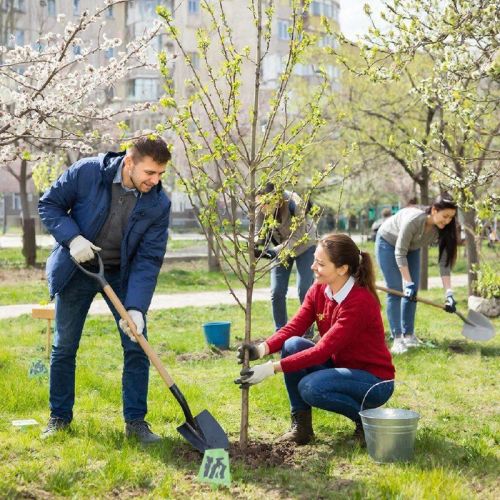 Татарстанда «Хәтер бакчасы» халыкара акциясенә әзерлек бара
